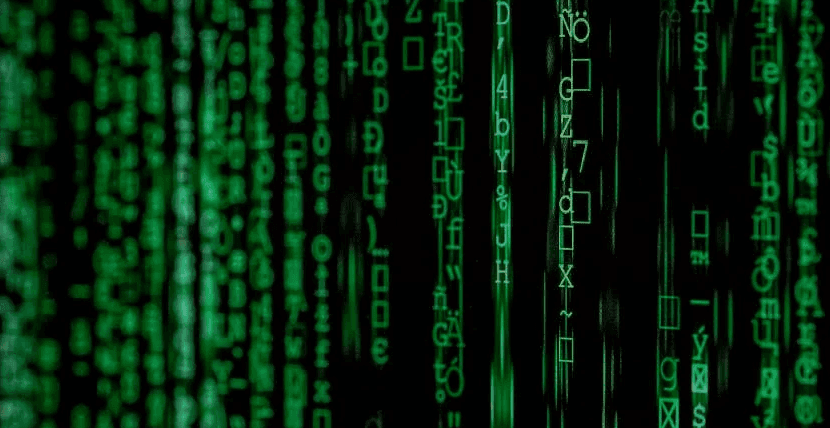 Terminal setup for developer productivity